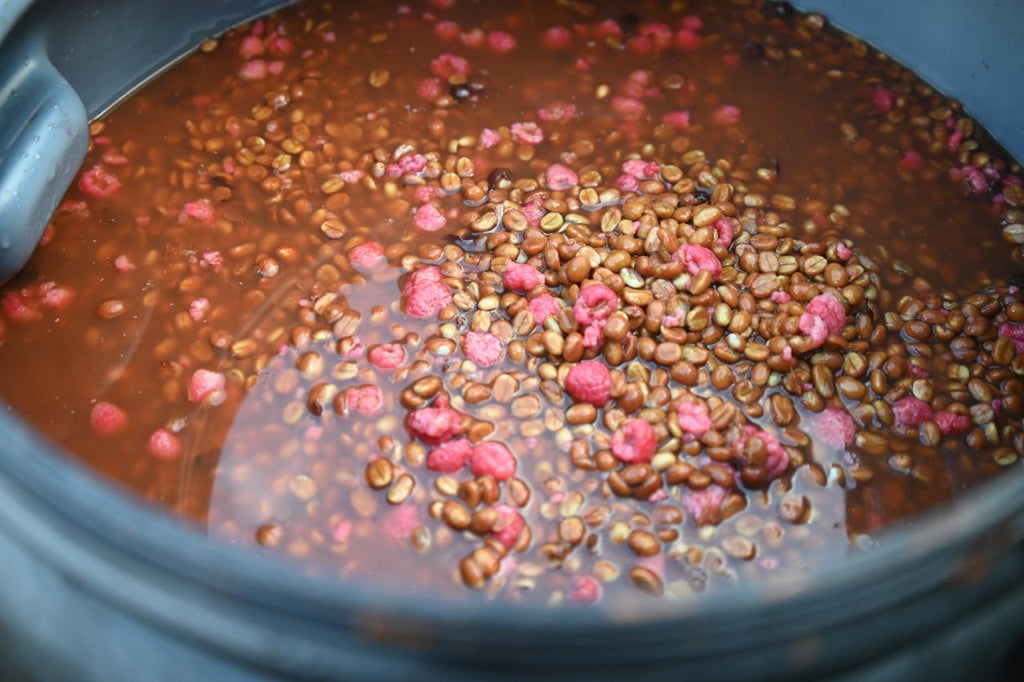 Bindiga Raspberry Red Honey